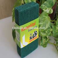 scouring pad& scrub sponge